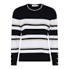 Navy/White